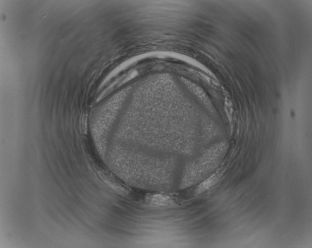 X0000062650180200601181819