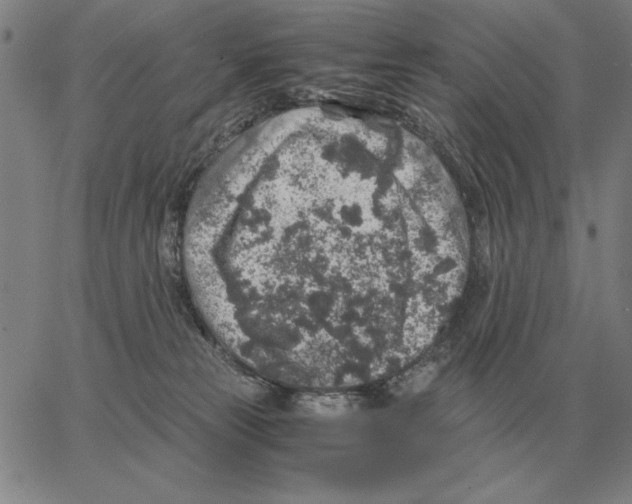 X0000062650181200601181819