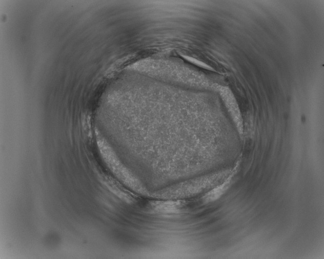 X0000062650182200601181819