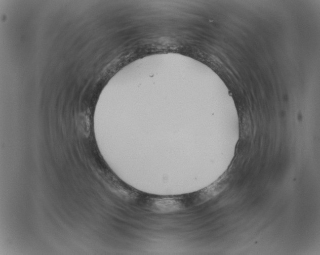 X0000062650183200601181819