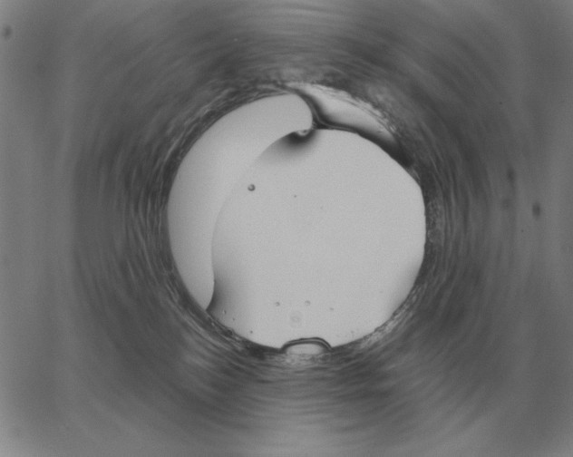 X0000062650184200601181819