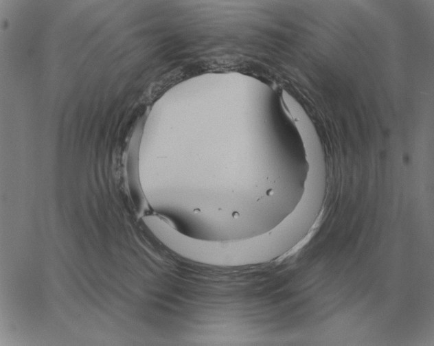 X0000062650186200601181819