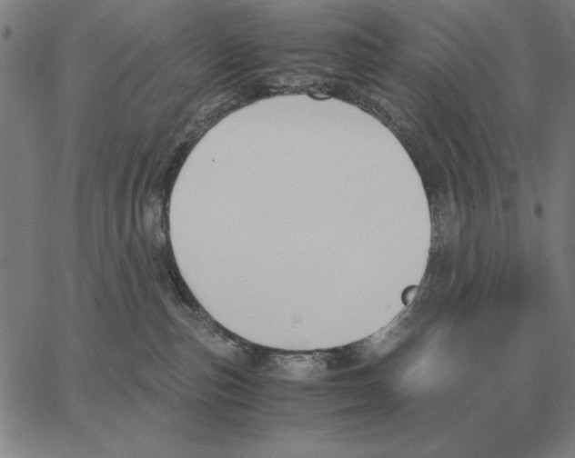 X0000062650187200601181819