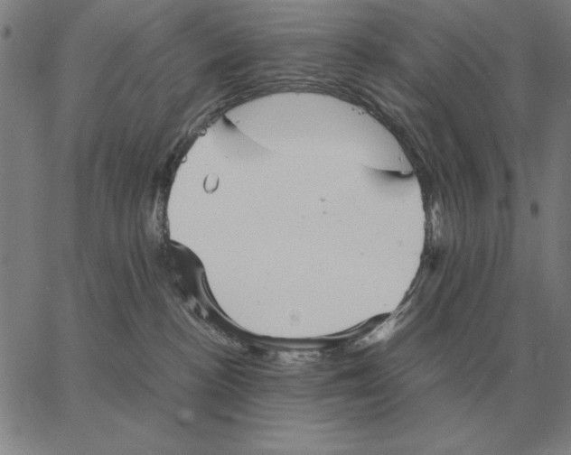 X0000062650188200601181819