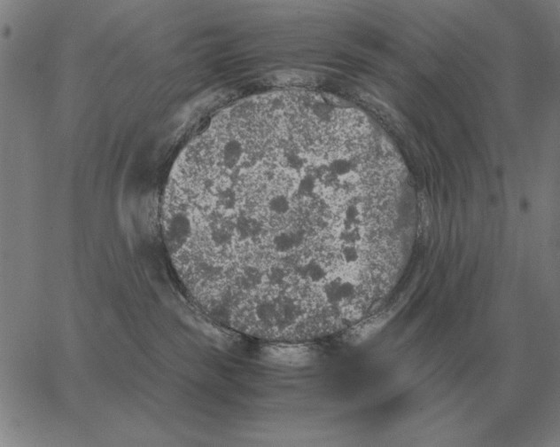 X0000062650189200601181819