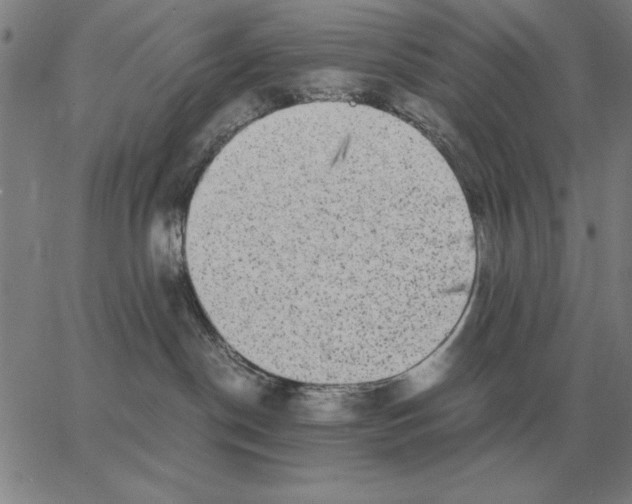 X0000062650190200601181819