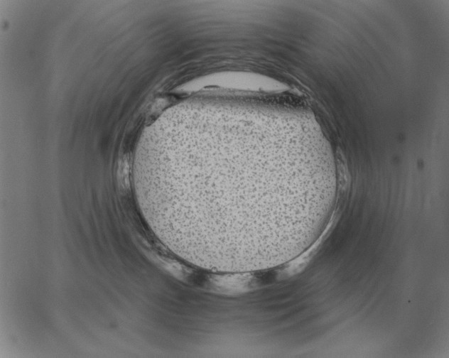 X0000062650191200601181819