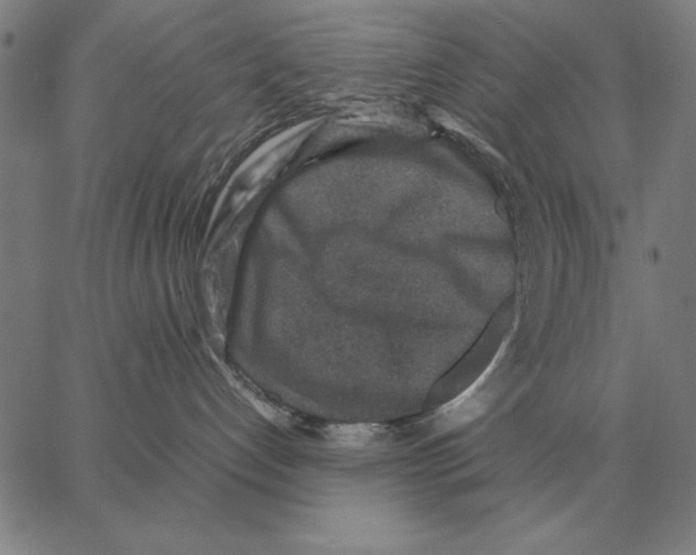 X0000062650192200601181819