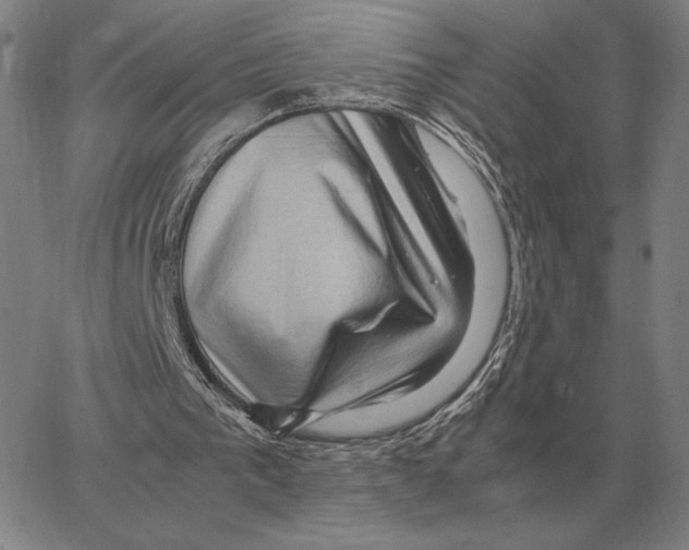 X0000062650193200601181818