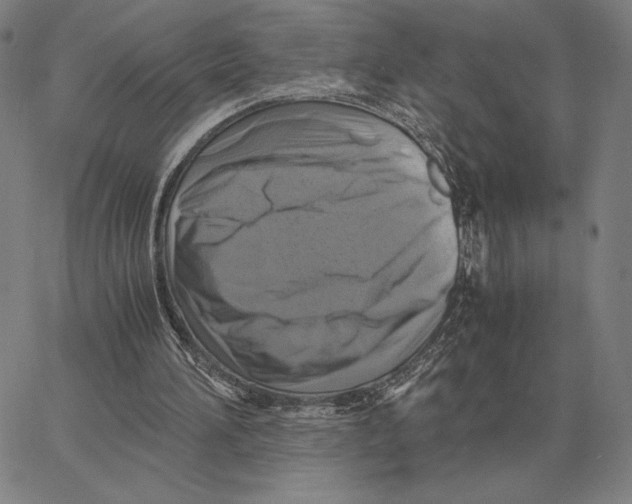 X0000062650196200601181818