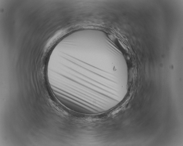 X0000062650197200601181818