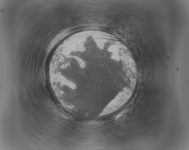 X0000062650198200601181818