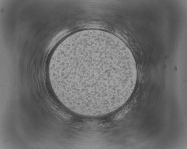 X0000062650199200601181818