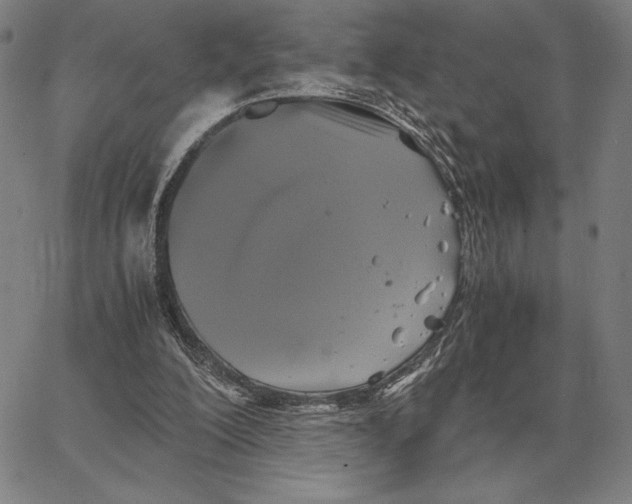 X0000062650200200601181818