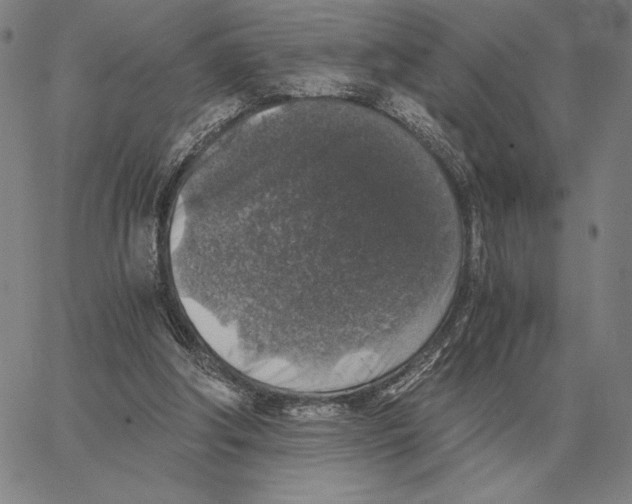 X0000062650202200601181818