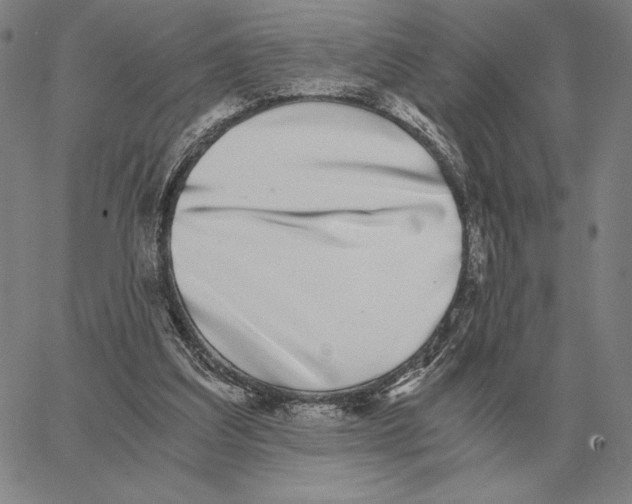 X0000062650203200601181818