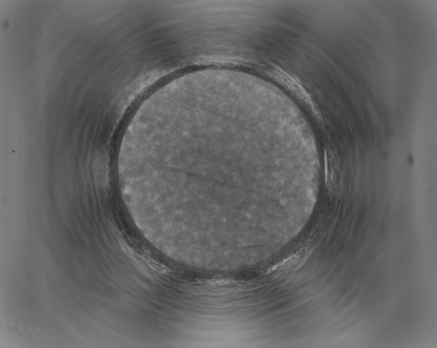 X0000062650204200601181818