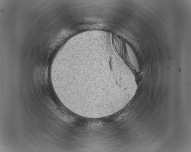 X0000062650206200601181818