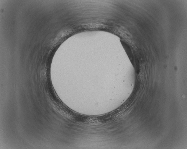 X0000062650207200601181818