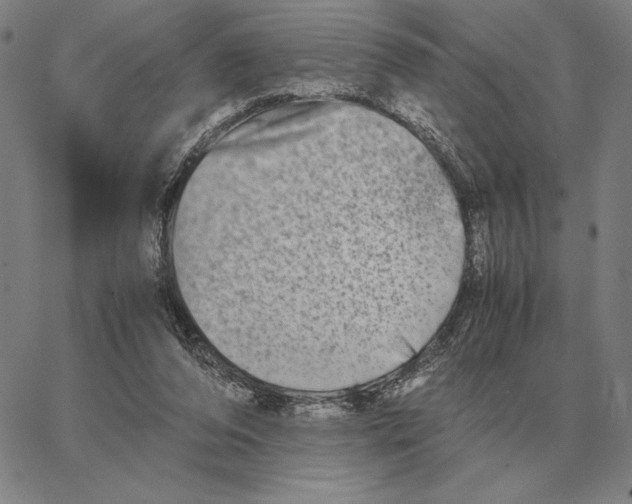 X0000062650208200601181818