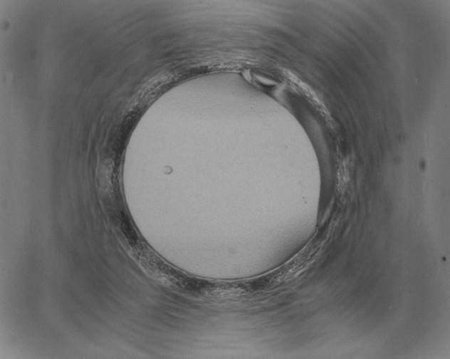 X0000062650209200601181818