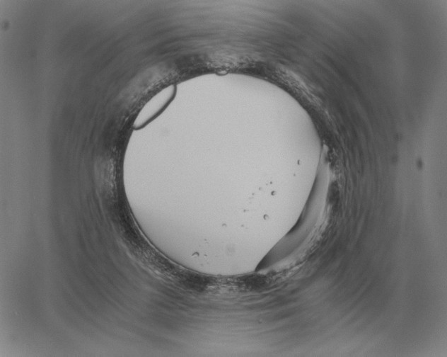 X0000062650211200601181818