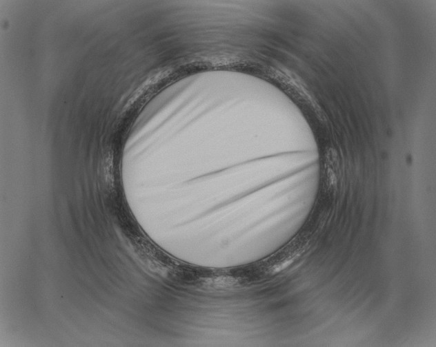 X0000062650212200601181818