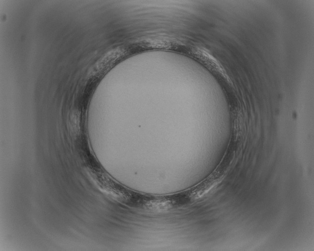 X0000062650213200601181818