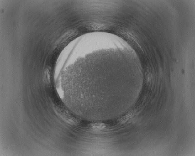 X0000062650214200601181818