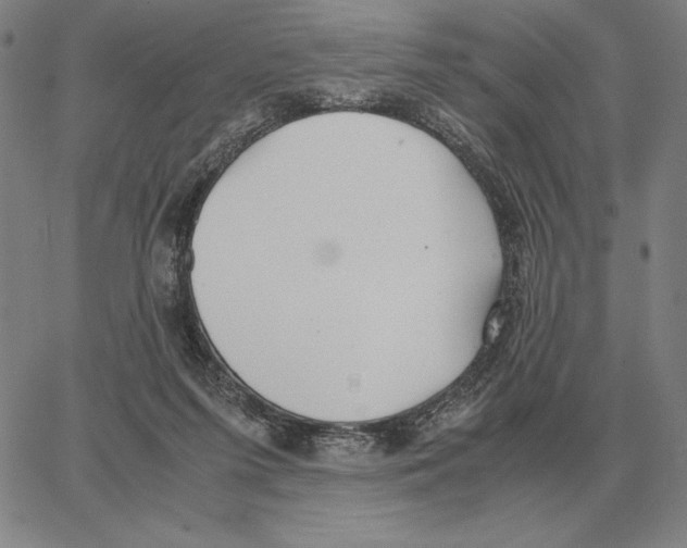 X0000062650215200601181818