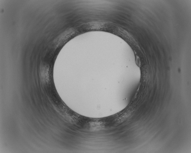 X0000062650216200601181818