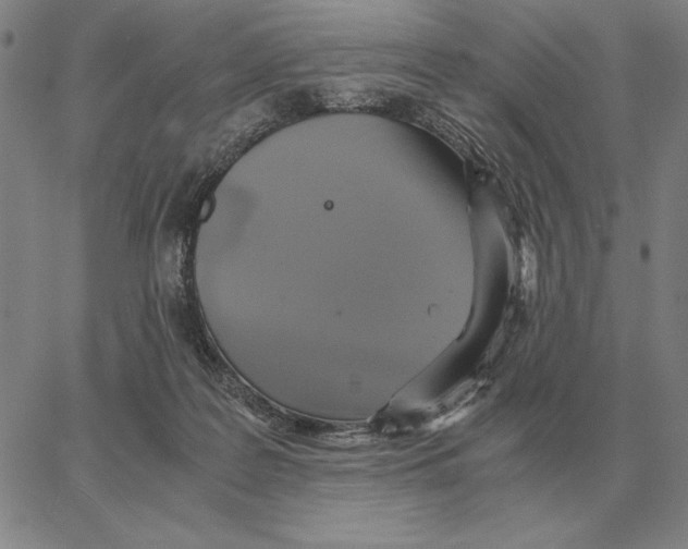 X0000062650219200601181818