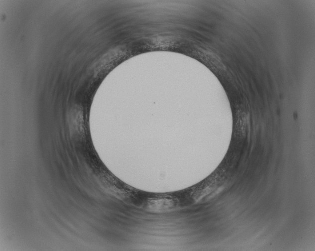 X0000062650220200601181818