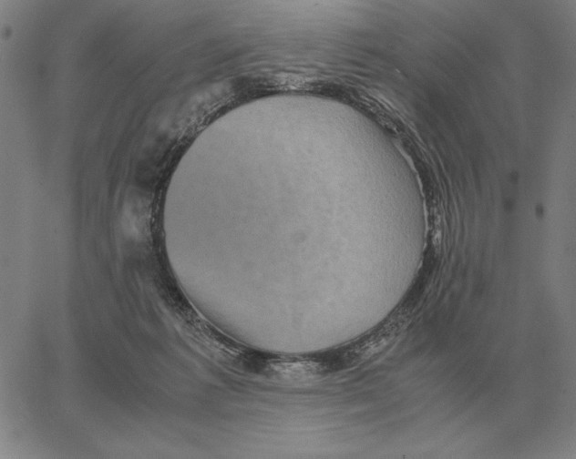 X0000062650221200601181818