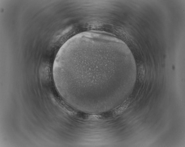 X0000062650222200601181818