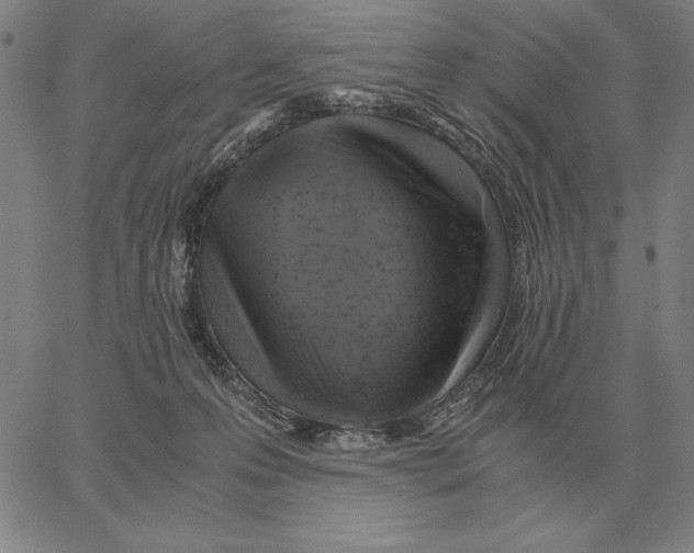 X0000062650223200601181818