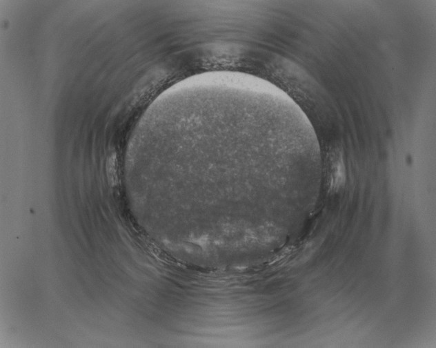 X0000062650224200601181818