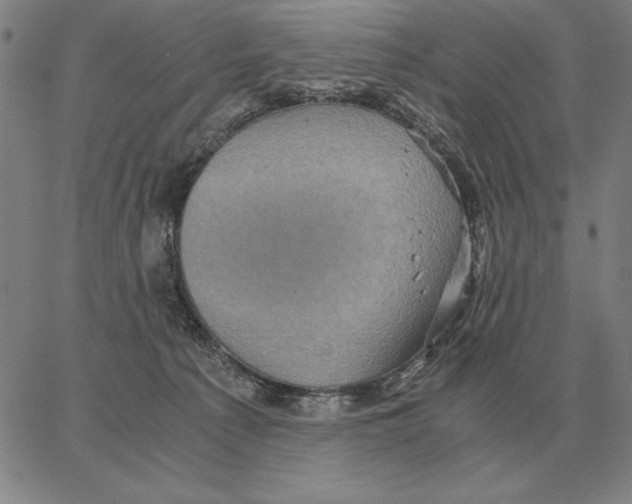 X0000062650225200601181818