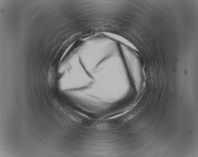 X0000062650228200601181818