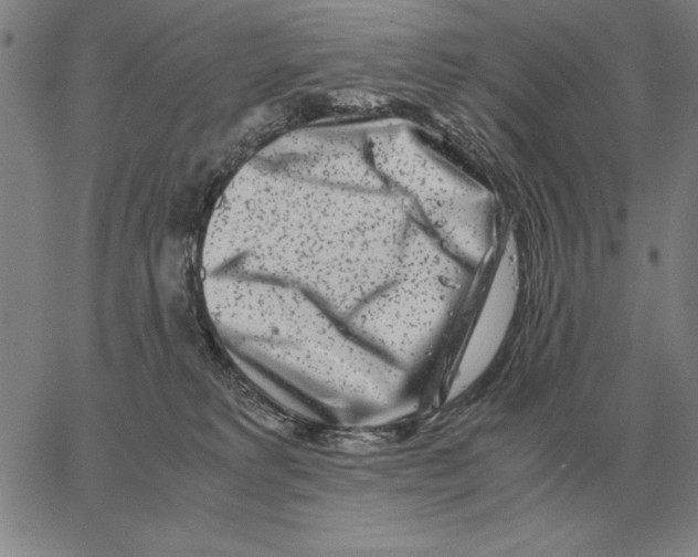 X0000062650229200601181818