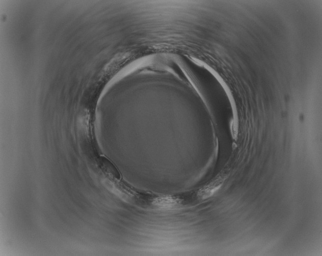 X0000062650231200601181818