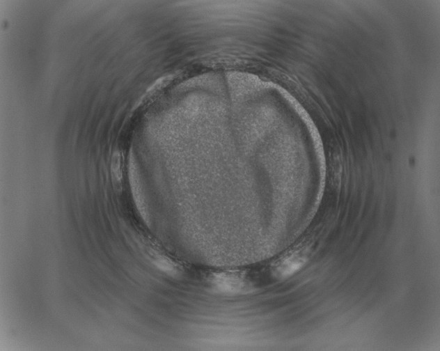 X0000062650232200601181818