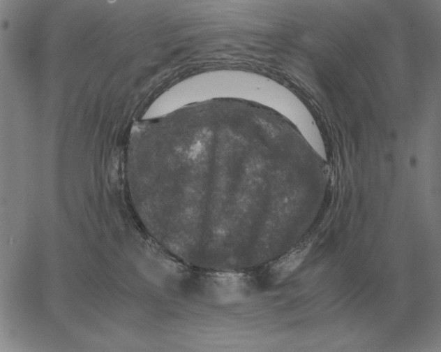 X0000062650233200601181818