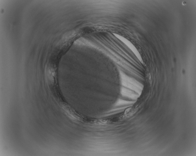 X0000062650235200601181818