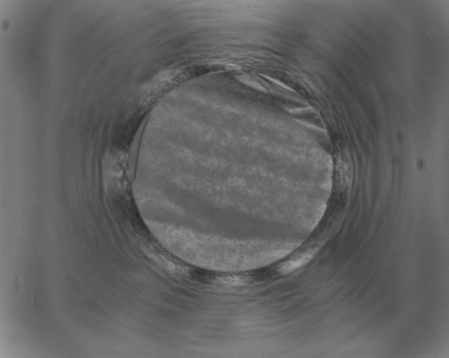 X0000062650237200601181817