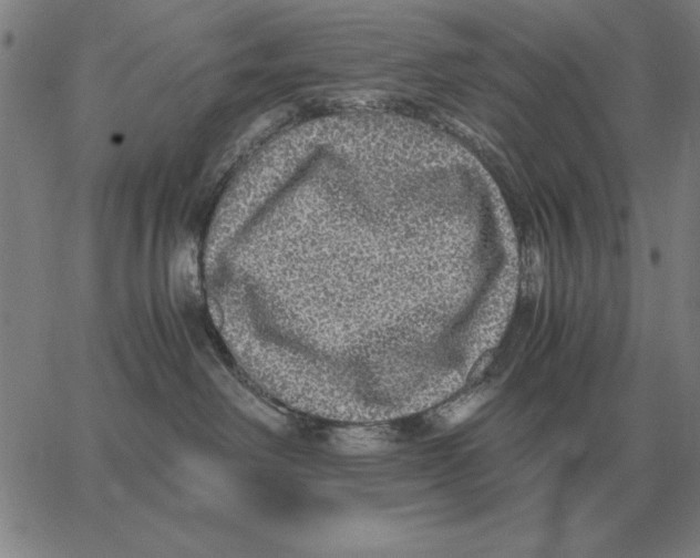 X0000062650238200601181817