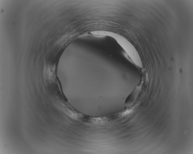 X0000062650239200601181817