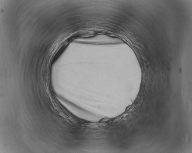 X0000062650241200601181817