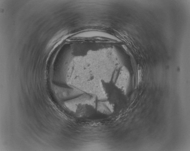 X0000062650243200601181817