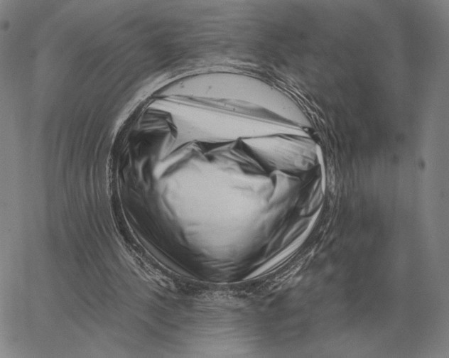 X0000062650244200601181817